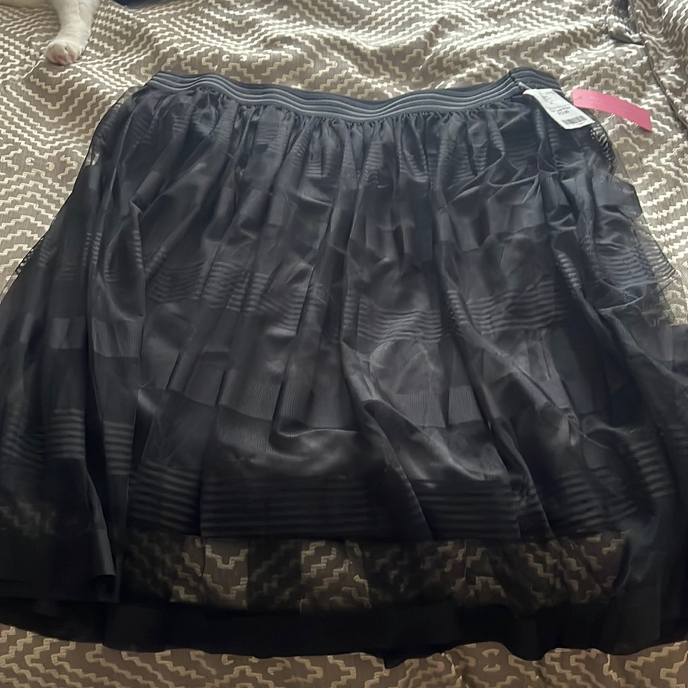 NWT Black sheer skirt